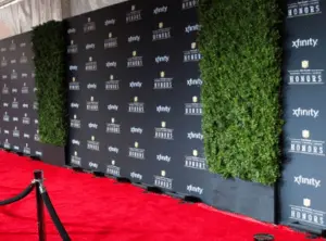 STEP AND REPEAT BANNER
